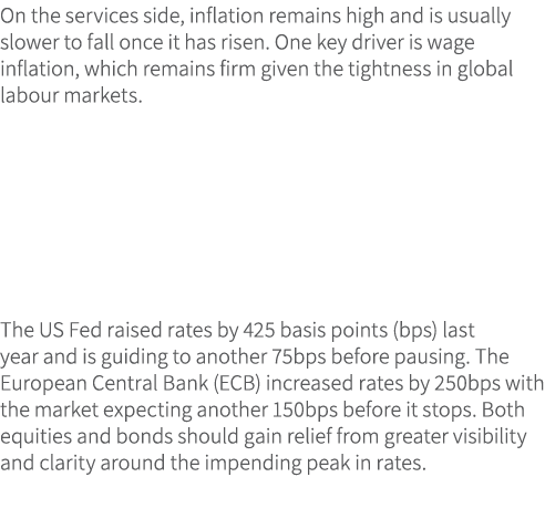 On the services side, inflation remains high and is usually slower to fall once it has risen. One key driver is wage ...
