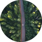 Aerial view of a road through the woods