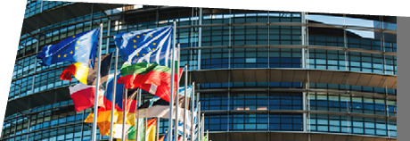 All EU members flags in front of the European Parliament in Strasbourg, France