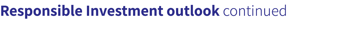 Responsible Investment outlook continued